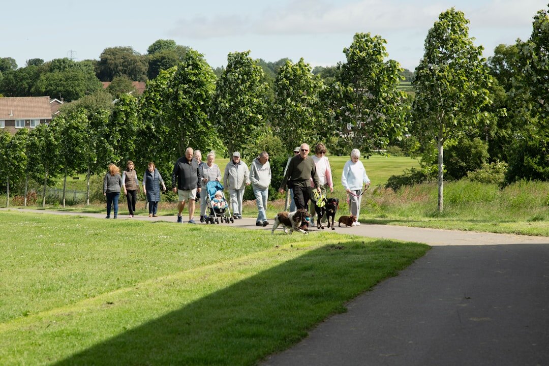 seniors enjoying outdoor activity